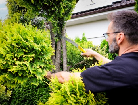 Piła z hakiem 32cm na trzonek SK5 (48)