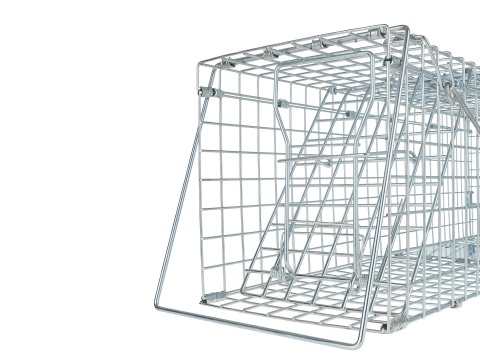 Pułapka żywołapka metalowa składana na kuny, łasice i szczury 60x21x18cm (8)
