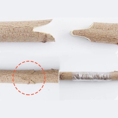 Sekator - nożyce do szczepienia winogron, drzew i krzewów - duży zestaw + etui (20)