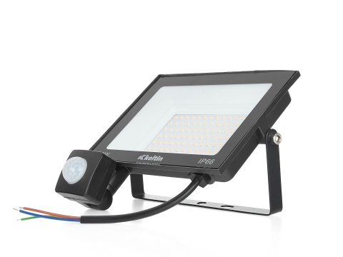 Naświetlacz LED 50W z czujnikiem ruchu - barwa biała zimna 6500K (20)