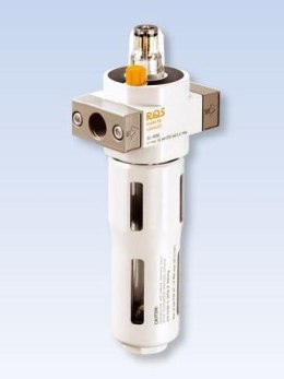 RECTUS NAOLEJACZ 1/4 MINI RECTUS