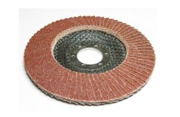 ŚCIERNICA LISTK.SILVER 125 P 120 SILVER